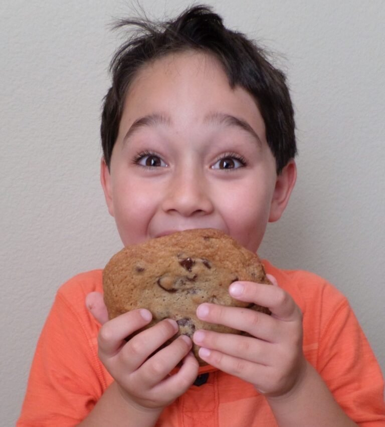classic chocolate chip cookie joy