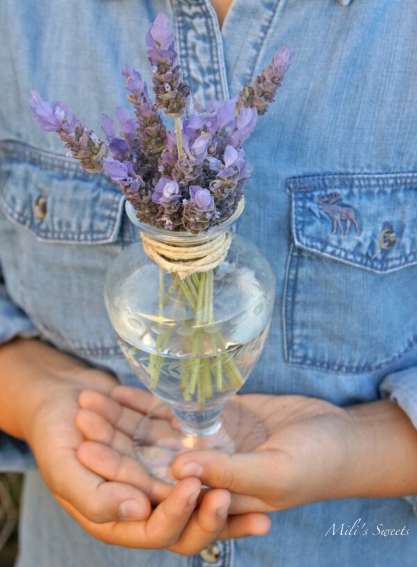 backyard lavender