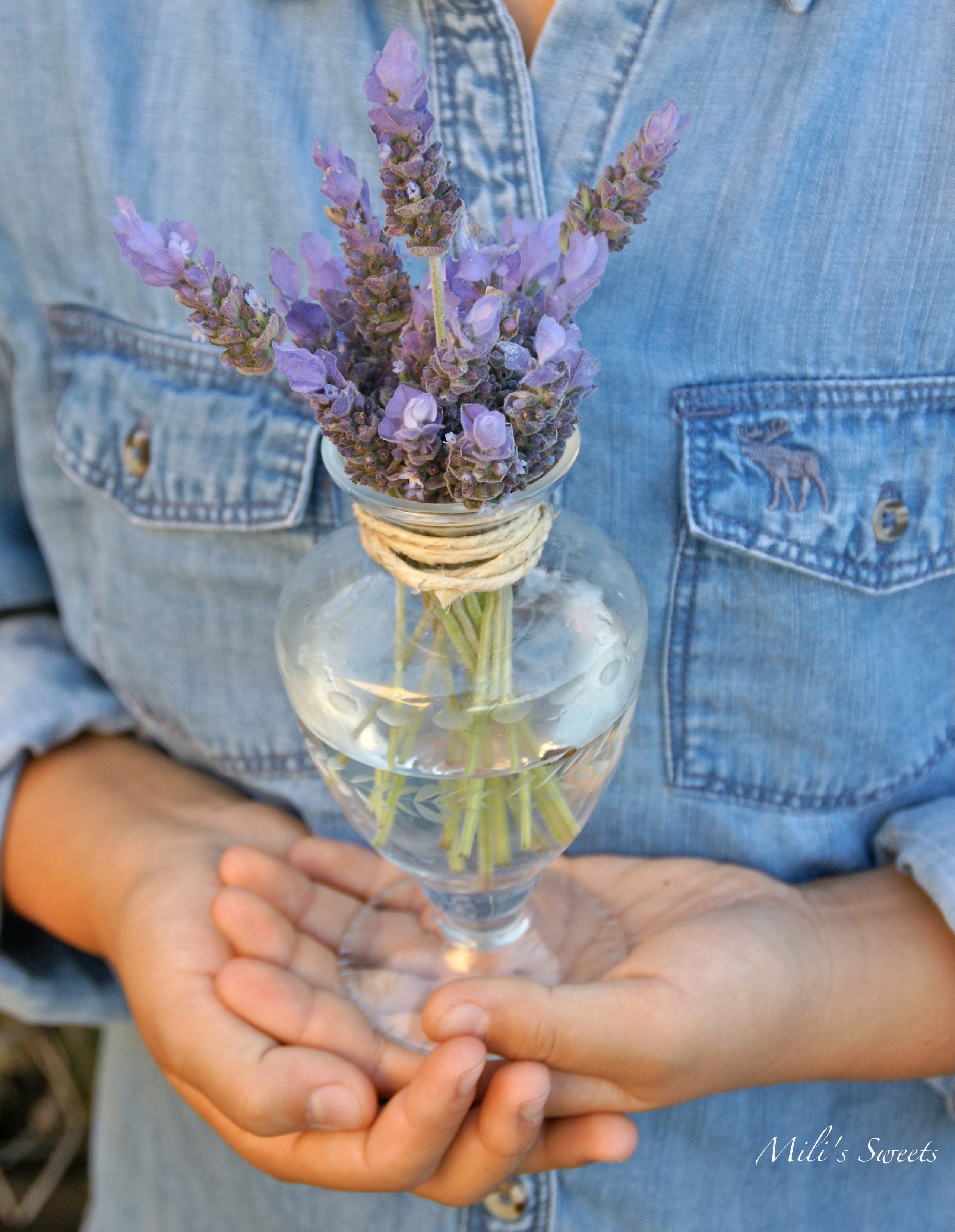 backyard lavender 