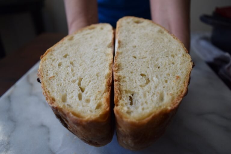 No-Knead Artisan Bread: easy. awesome. dutch oven method.